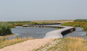 Welkom op Marker Wadden